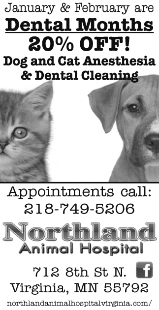 Dental Months, Northland Animal Hospital, Virginia, MN